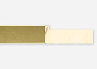 Custom Frame CFSX2450-50