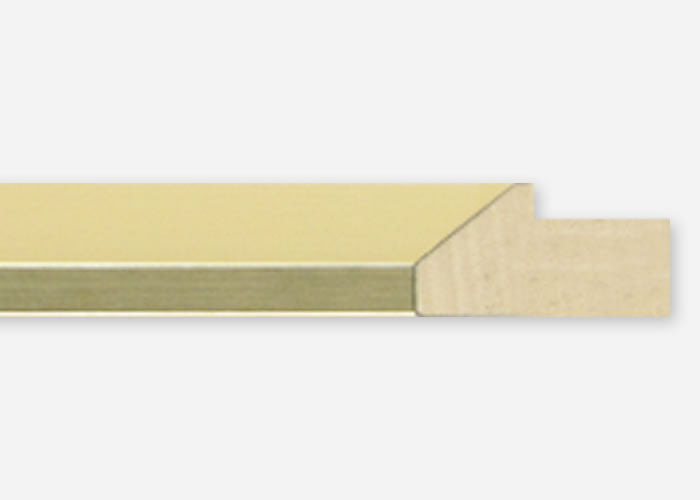 Custom Frame CFSX2450-60