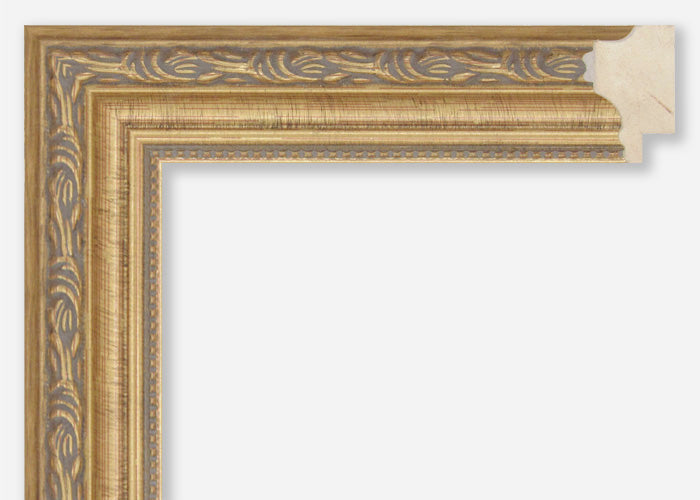 Custom Frame CFSX25-101