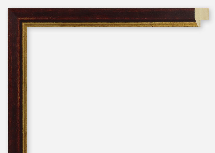 Custom Frame CFSX2600-75x