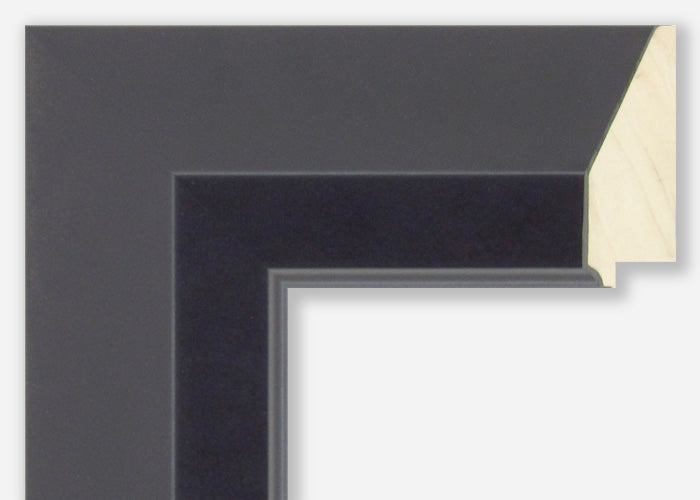 Custom Frame CFSX300-255