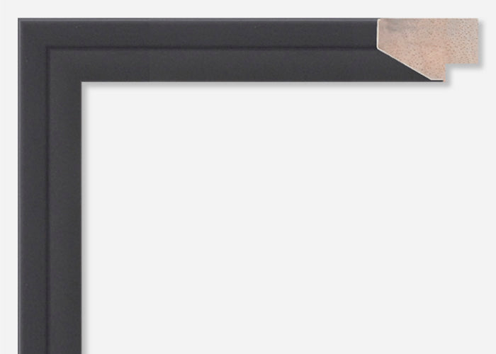 Custom Frame CFSX300-290