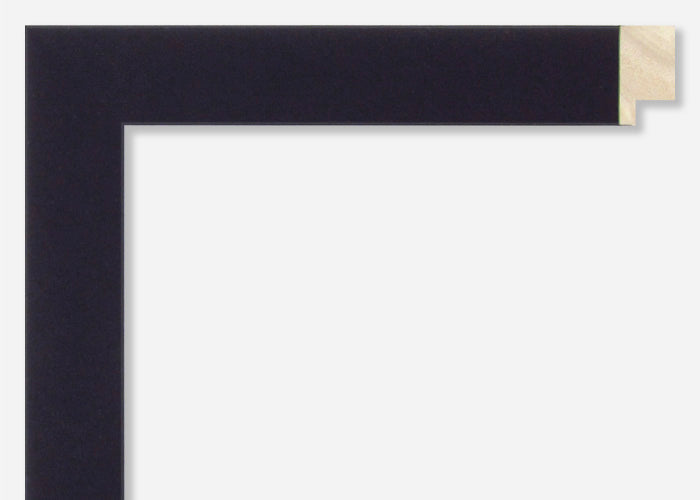 Custom Frame CFSX300-420