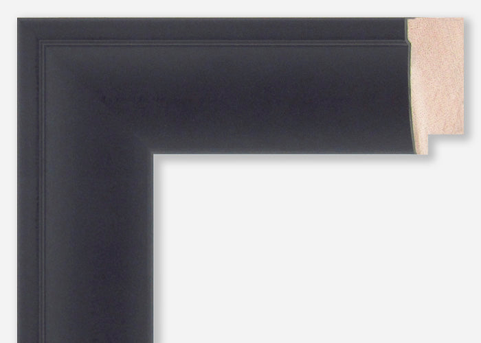 Custom Frame CFSX300-455