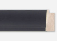 Custom Frame CFSX300-455