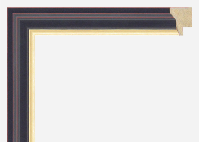 Custom Frame CFSX300-605