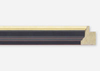 Custom Frame CFSX300-605