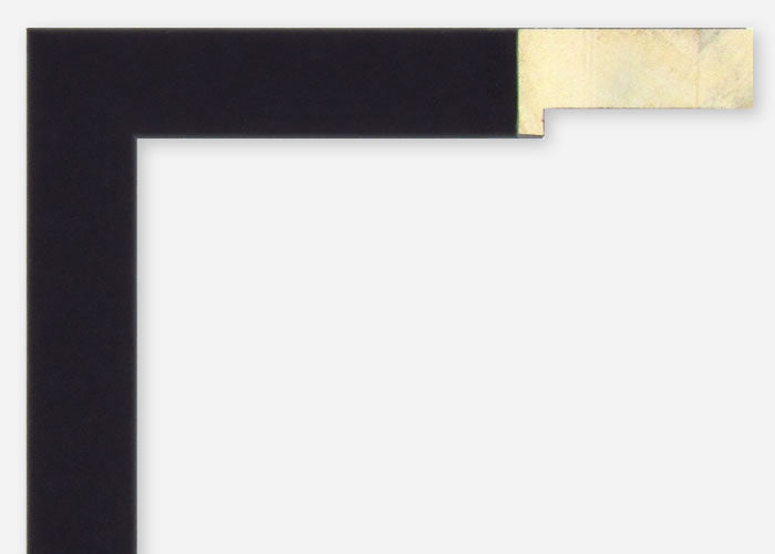 Custom Frame CFSX300-840