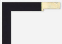 Custom Frame CFSX300-840