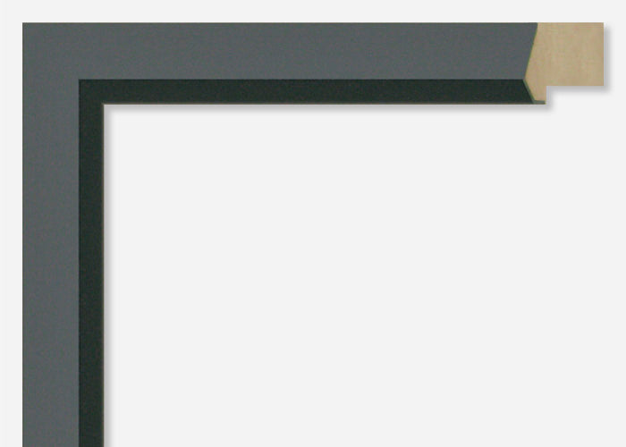 Custom Frame CFSX300-965