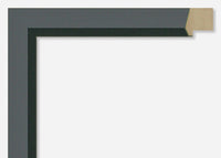 Custom Frame CFSX300-965