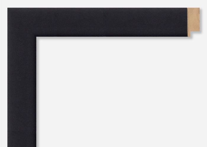 Custom Frame CFSX300-975