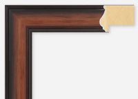 Custom Frame CFSX300-990