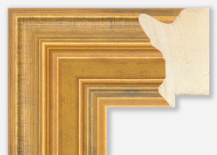 Custom Frame CFSX305-10