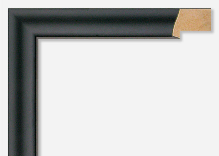 Custom Frame CFSX305-165