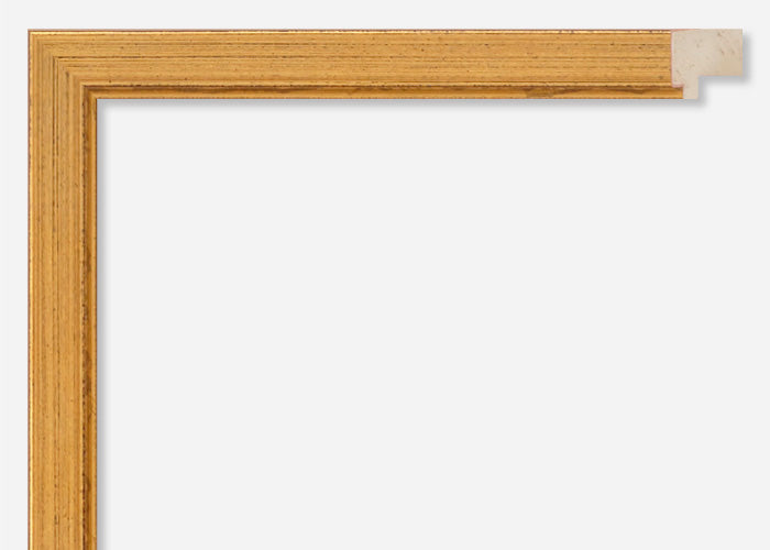 Custom Frame CFSX305-305x