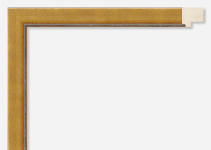 Custom Frame CFSX305-310x