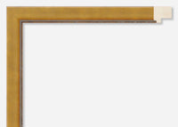 Custom Frame CFSX305-310x