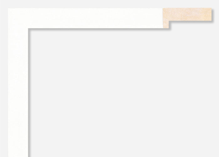 Custom Frame CFSX305-390x