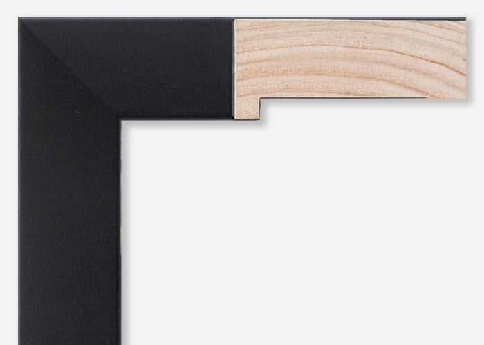 Custom Frame CFSX305-520