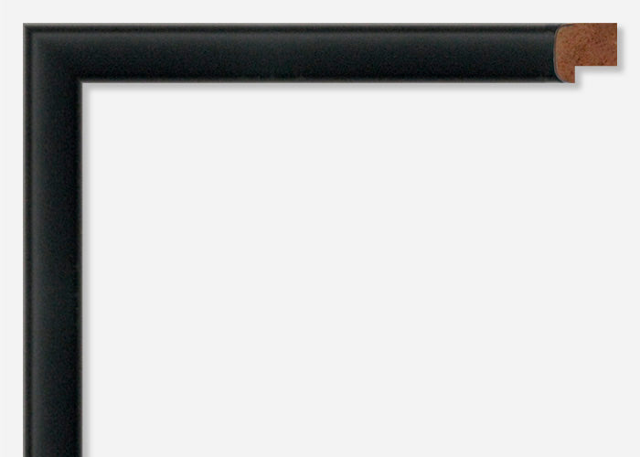 Custom Frame CFSX305-560x