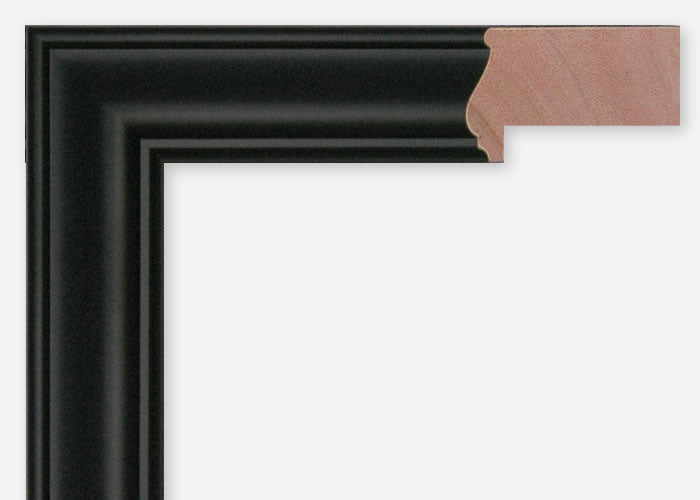 Custom Frame CFSX305-885