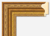 Custom Frame CFSZ0308