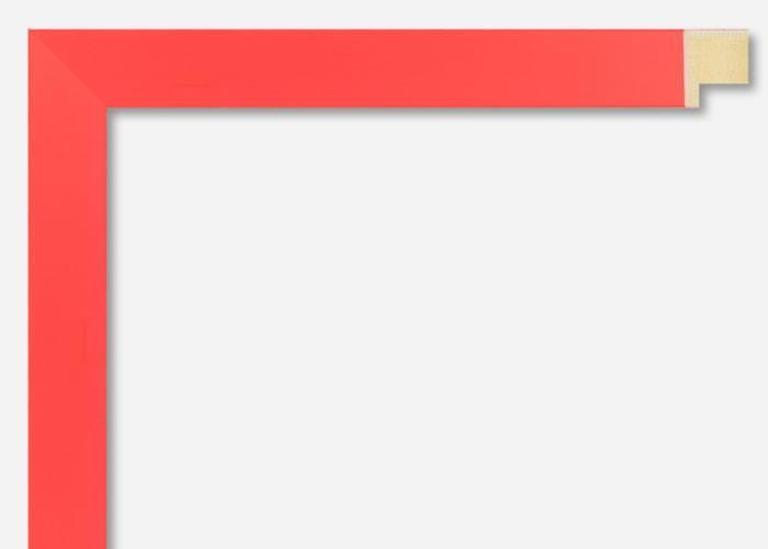 Custom Frame CFSX310-120