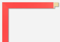 Custom Frame CFSX310-120