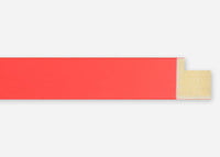 Custom Frame CFSX310-120