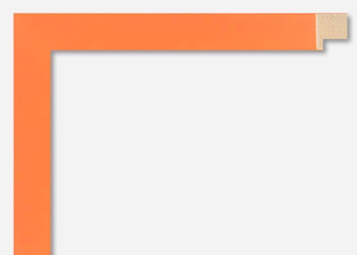 Custom Frame CFSX310-130