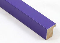 Custom Frame CFSX310-135