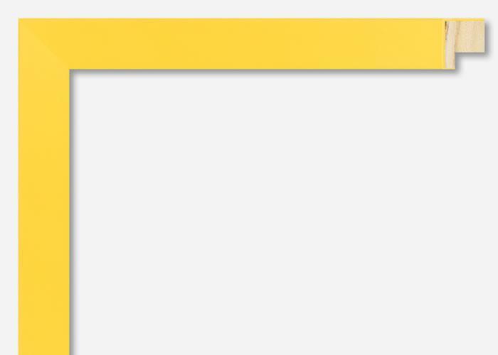 Custom Frame CFSX310-145