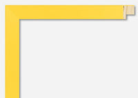 Custom Frame CFSX310-145