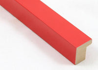 Custom Frame CFSX310-155