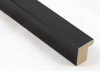 Custom Frame CFSX310-160