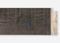 Custom Frame CFSX310-280