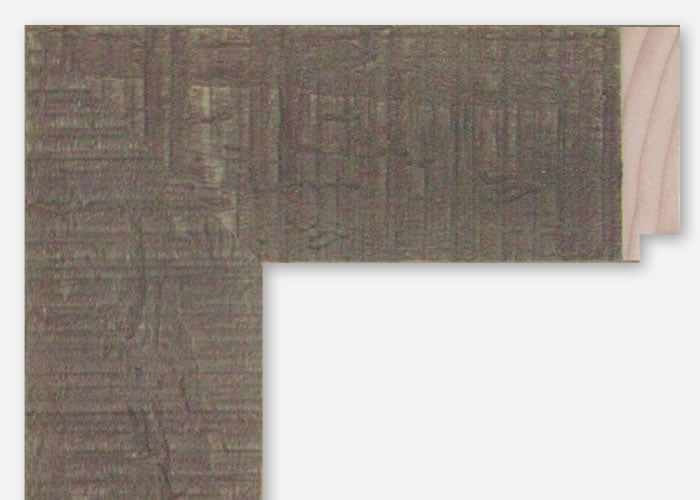 Custom Frame CFSX310-300