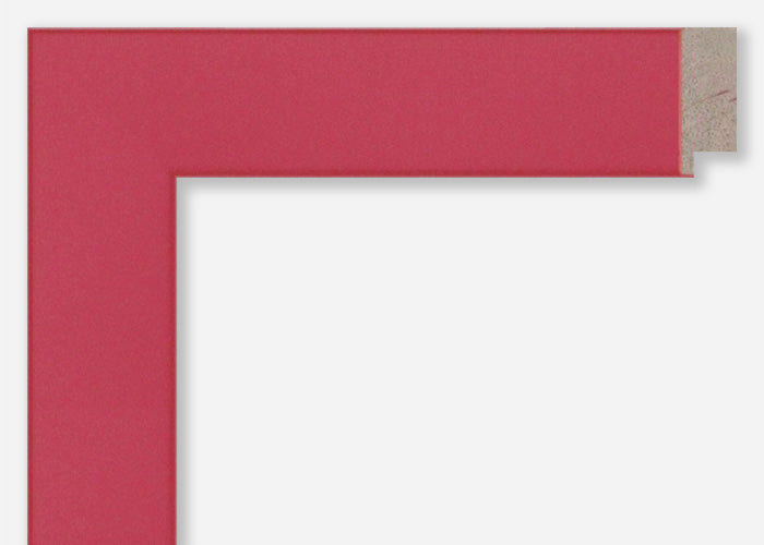 Custom Frame CFSX310-305