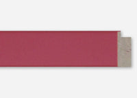 Custom Frame CFSX310-305