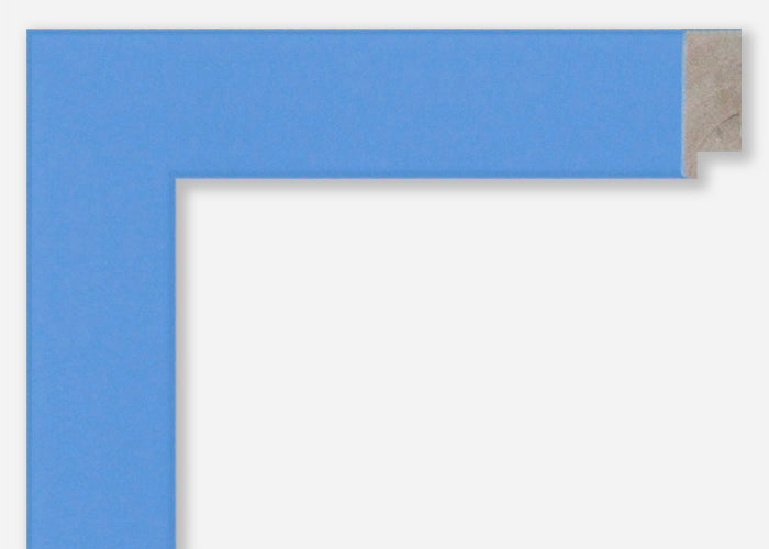 Custom Frame CFSX310-325