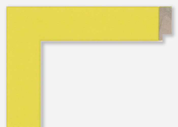 Custom Frame CFSX310-330