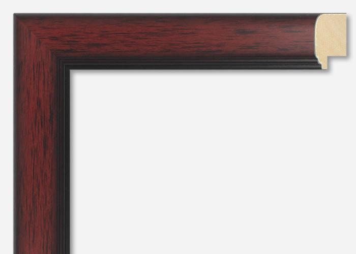 Custom Frame CFSX310-360