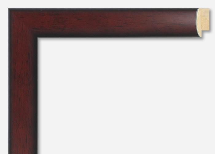 Custom Frame CFSX310-370