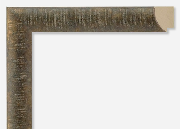 Custom Frame CFSX310-505