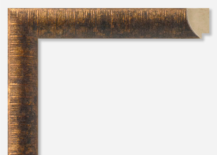 Custom Frame CFSX310-515