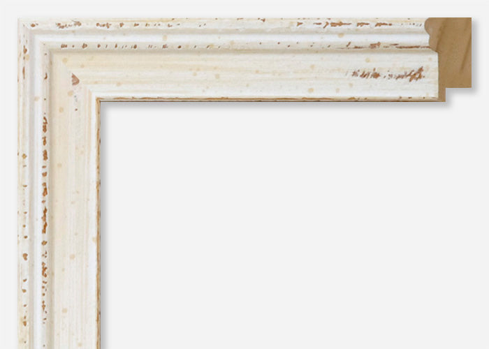 Custom Frame CFSX310-535