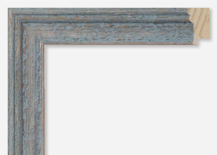 Custom Frame CFSX310-550