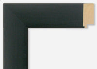 Custom Frame CFSX315-15