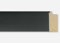 Custom Frame CFSX315-15